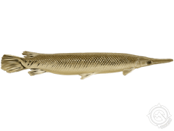 alligator gar